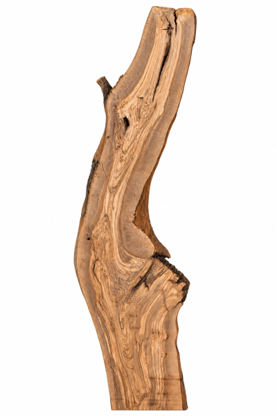 Olivenholzbohle 207,5–213 x 24–64 x 4 cm – Trockenes Olivenholz Rohware Baumoptik - B643