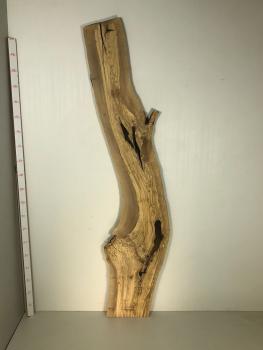 Über 200 cm lange Olivenholz Bohle
