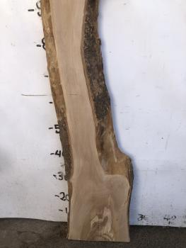 Tolles Olivenholzbrett mit natürlicher Spitze – perfekt für kreative Projekte und Epoxidharz-Verarbeitung.