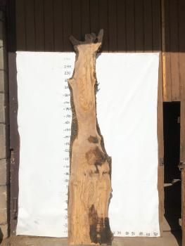 Große Olivenholz Bohle – perfekt für den Bau von Theken, Esstischen oder Arbeitsplatten.