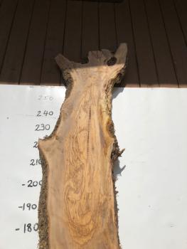 Große Olivenholz Bohle – perfekt für den Bau von Theken, Esstischen oder Arbeitsplatten.