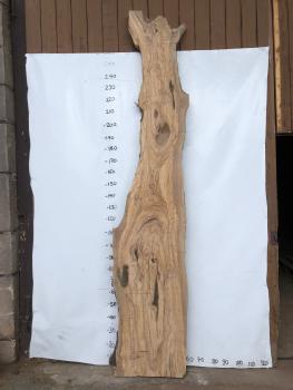 Große Olivenholz Bohle – perfekt für den Bau von Theken, Esstischen oder Arbeitsplatten.