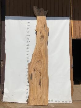 Große Olivenholz Bohle – perfekt für den Bau von Theken, Esstischen oder Arbeitsplatten.