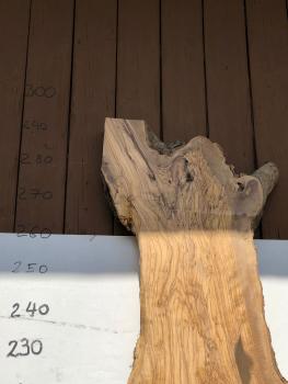Große Olivenholz Bohle – perfekt für den Bau von Theken, Esstischen oder Arbeitsplatten.