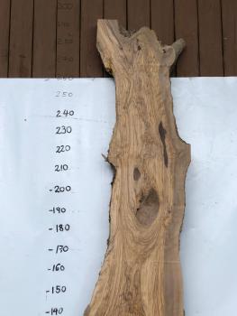 Große Olivenholz Bohle – perfekt für den Bau von Theken, Esstischen oder Arbeitsplatten.