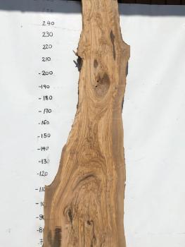 Große Olivenholz Bohle – perfekt für den Bau von Theken, Esstischen oder Arbeitsplatten.