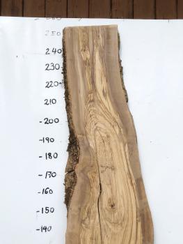 Große Olivenholz Bohle – ideal für den Bau von Theken, Esstischen oder Arbeitsplatten.