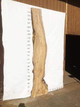 Große Olivenholz Bohle – ideal für den Bau von Theken, Esstischen oder Arbeitsplatten.