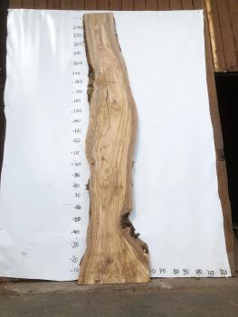 Große Olivenholz Bohle – ideal für den Bau von Theken, Esstischen oder Arbeitsplatten.