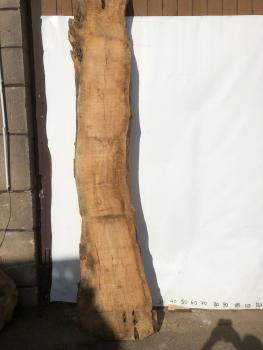 Beeindruckende Olivenholz Bohle – ideal für Tresen, Tische oder Theken