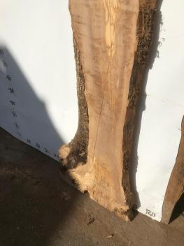 Große Olivenholz Bohle – ideal für den Bau von Esstischen, Theken oder Arbeitsplatten.
