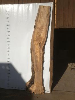 Große Olivenholz Bohle – ideal für den Bau von Esstischen, Theken oder Arbeitsplatten.