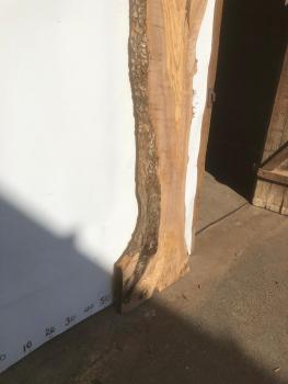 Große Olivenholz Bohle – ideal für den Bau von Esstischen, Theken oder Arbeitsplatten.
