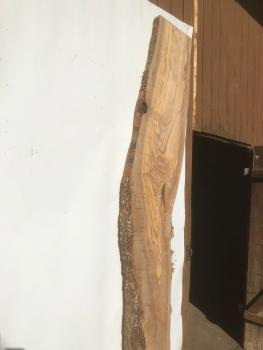 Große Olivenholz Bohle – ideal für den Bau von Esstischen, Theken oder Arbeitsplatten.
