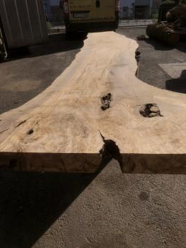 Große Olivenholz Bohle – ideal für den Bau von Esstischen, Theken oder Arbeitsplatten.
