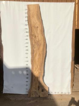 Große Olivenholz Bohle – ideal für den Bau von Esstischen, Theken oder Arbeitsplatten.