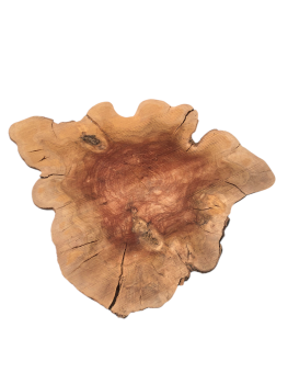 Dünne XXL-Olivenbaum-Scheiben (12–14 mm) – 380–400 Jahre alt & ideal für kreative DIY-Projekte 1224