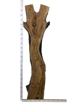 Große, beeindruckende Olivenholz Bohle – ideal für den Bau von Tischen, Theken oder Tresen.