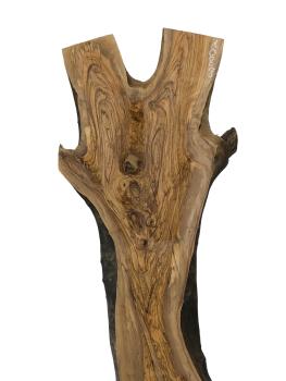 Große, beeindruckende Olivenholz Bohle – ideal für den Bau von Tischen, Theken oder Tresen.