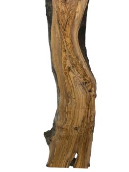 Große, beeindruckende Olivenholz Bohle – ideal für den Bau von Tischen, Theken oder Tresen.