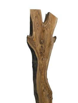Große, beeindruckende Olivenholz Bohle – ideal für den Bau von Tischen, Theken oder Tresen.