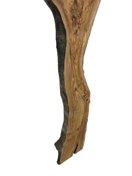 Große, beeindruckende Olivenholz Bohle – ideal für den Bau von Tischen, Theken oder Tresen.