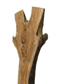 Große, beeindruckende Olivenholz Bohle – ideal für den Bau von Tischen, Theken oder Tresen.