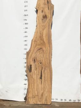 Große Olivenholz Bohle – perfekt für den Bau von Theken, Esstischen oder Arbeitsplatten.