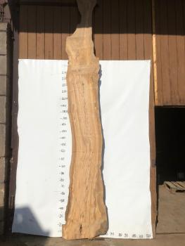 Beeindruckende Olivenholz Bohle – ideal für Tresen, Tische oder Theken