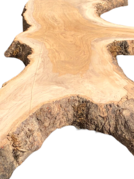 Große 215 cm Olivenbaum Bohle mit voller Baumoptik und Rinde 1206