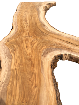 Große 215 cm Olivenbaum Bohle mit voller Baumoptik und Rinde 1206
