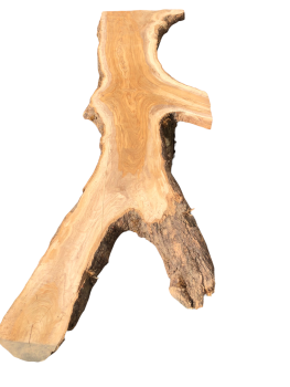 Große 215 cm Olivenbaum Bohle mit voller Baumoptik und Rinde 1206