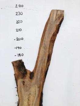 Große Olivenholz Bohle in Baumoptik – ideal für Dekoration, Regale oder Epoxidharz-Projekte.
