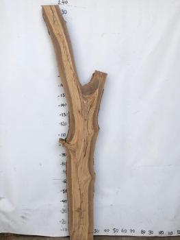 Große Olivenholz Bohle in Baumoptik – ideal für Dekoration, Regale oder Epoxidharz-Projekte.