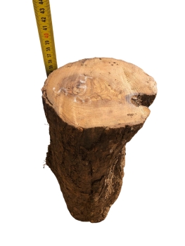 Knorriges und voll massives Olivenholz-Stammstück 344