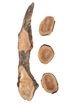 Kreatives Bastel- & Gestaltungset aus Olivenholz – Natürlich geformtes Brett & drei Baumscheiben 1229