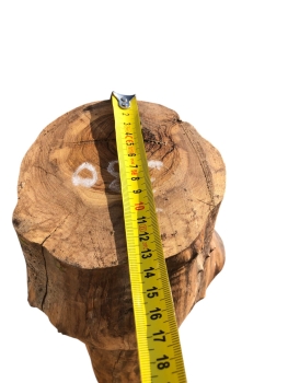 Olivenholz-Stammstück-58-cm-Nr.-330