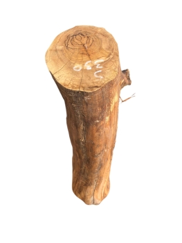 Olivenholz-Stammstück-58-cm-Nr.-330