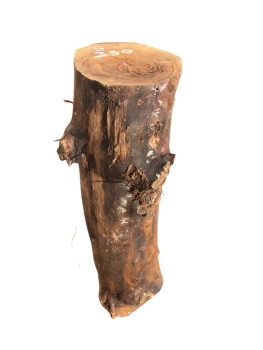 Olivenholz-Stammstück-58-cm-Nr.-330