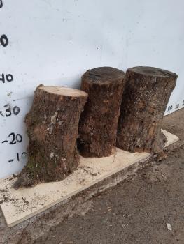 3er Set Olivenholz Stammstücke – Vielseitige Rohwaren Dieses Set besteht aus kleinen Olivenholz Stammstücken, ideal für kreative Projekte wie Drechseln und Basteln.