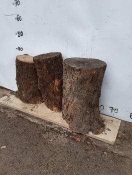3er Set Olivenholz Stammstücke – Vielseitige Rohwaren Dieses Set besteht aus kleinen Olivenholz Stammstücken, ideal für kreative Projekte wie Drechseln und Basteln.