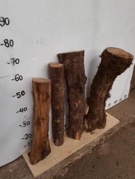 4er Set Olivenholz Stammstücke – Vielfältige Rohwaren Dieses Set besteht aus langen, unterschiedlich dicken Olivenholz Stammstücken, ideal für kreative Projekte wie Drechseln und Basteln.