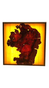 Olivenholz Wandbild beleuchtet 66x66 cm Art.Nr. G04