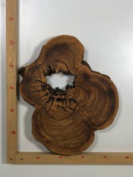 Wunderschöner Querschnitt eines Olivenbaumes mit natürlichem Loch, optimal für kreative Projekte und Epoxidharz-Anwendungen.