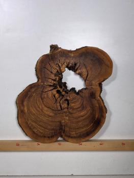 Wunderschöner Querschnitt eines Olivenbaumes mit natürlichem Loch, optimal für kreative Projekte und Epoxidharz-Anwendungen.