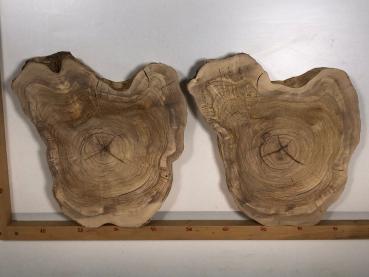 2 identische Olivenholz Baumscheiben – Geschliffene und luftgetrocknete Querschnitte aus Olivenbaum