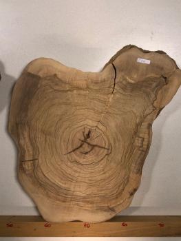 2 identische Olivenholz Baumscheiben – Geschliffene und luftgetrocknete Querschnitte aus Olivenbaum