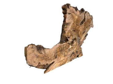 Wilde Olivenbaum Wurzelscheibe, ideal für kreative Anwendungen und individuelle Gestaltungen mit Epoxidharz.