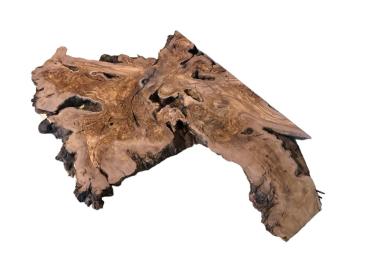 Wilde Olivenbaum Wurzelscheibe, ideal für kreative Anwendungen und individuelle Gestaltungen mit Epoxidharz.