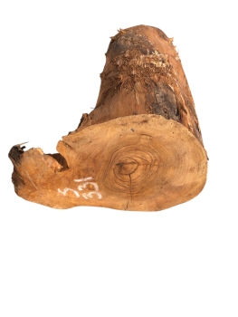 Schönes massives Olivenholz Stammstück 331